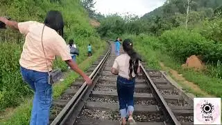 Traveling Ara|Travel Vlog 2025|ඇල්ලේ යන්න ඉන්න ඔයාලට|Where foreigners most like to go