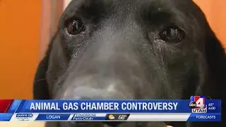 6pm gas chamber for animals controversy