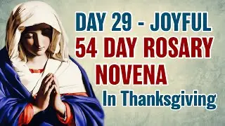 54-дневная Новена Розария, день 29 💙Радостные Тайны