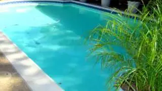 3212 Anchor Drive, Plano, TX 75023-3617