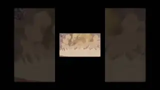 Dragon galaxy Tyson vs daichi