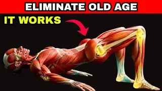 Older Adult Stop Walking! These 6 Exercises Do Much More (Do Them at Home)