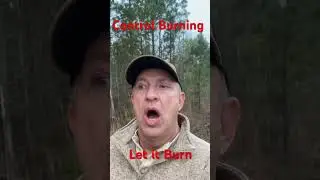 Control Burn Longleaf Pines #adventure #longleaf #controlburning #plowing #tractor ￼#farmfun