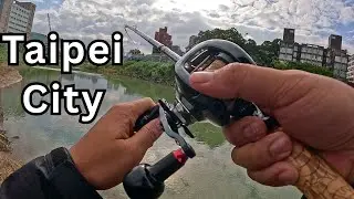 Beautiful Taipei Fishing Spot