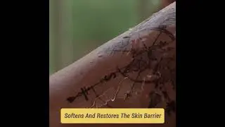 Tattoo Care Kit