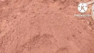 Pure Red soil#soil#good quality #shots