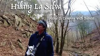 Camping with my chihuahua Bianca deep in the forests of northern Spain for her birthday.