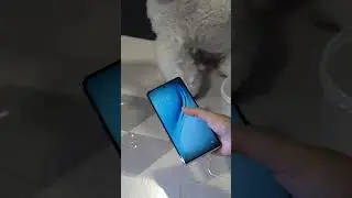 Camon 40 Pro 5G  Waterproof IP68/69