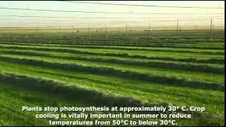 Floppy Irrigation