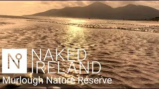A walk through the Murlough Nature Reserve in County Down, Northern Ireland.