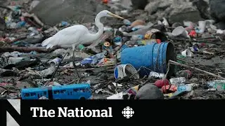 Why it&rsquo;s so hard to end plastic pollution