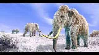 Mammuthus primigenius Sound Effect Pt 2 
