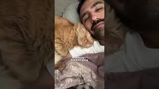 Clingy Indoor Cat Suddenly Decides To Explore The Outdoors | The Dodo