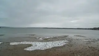 The Toxic Takeover of Owasco Lake | News Live at 6