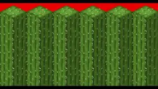 MINECRAFT CACTUS TRANSITION RED SCREEN