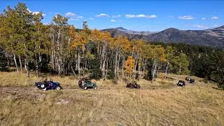 Willy's Jeeps Drive Rick Mountain Colorado