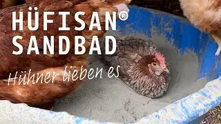Hüfisan als Sandbad: Der Erfahrungsbericht | Schicker Mineral