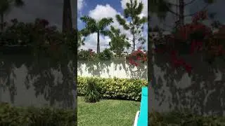 January 6, 2021   Two story home at Modern  Doral with 5 Beds/5Baths