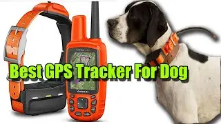 Best GPS Tracker For Dog 2019