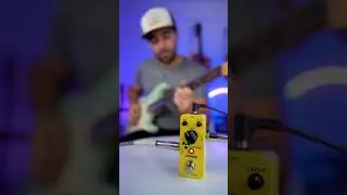 YELLOW FALL DELAY - DONNER 🎸🎛