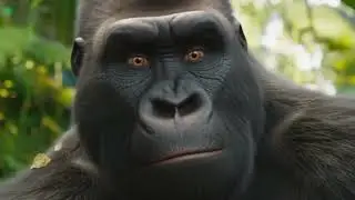 Monkey video Prank monkey #funny #monkey #monkeyvideo #animals #funnyanimal #monkeyshow #animals