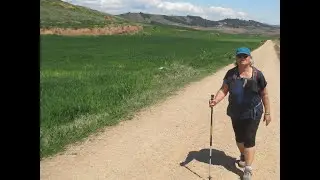 Discussion: What it is like to walk on the Camino in Spain and Portugal