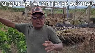 O QUE GOBEU VAI FAZER COM AS GRADES ANTIGAS? + A HORTA CONTINUA AUMENTANDO!!