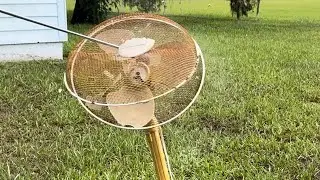 Smash Vintage Nasty Honeywell Pedestal Fan