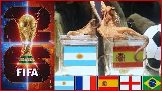 Who Wins 2026 Octopus Predicts the Shocking World Cup Winner! 🏆🔥