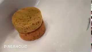 ASMR / sponge squeeze with Lestoil🧽🧽