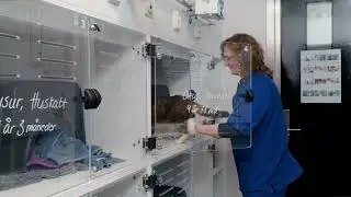 Opus hos Dyresykehuset &ndash; sm&aring;dyr ved Veterin&aelig;rh&oslash;gskolen