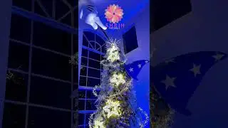 🎄 Shrih Events | Best Xmas Party Decoration & Holiday Decor 🎉 #ShrihFestivals #XmasDecor