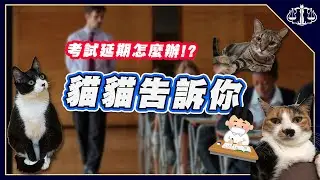 考試都延期了...派貓咪來告訴你怎麼辦 | 貓奴律師
