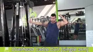 Overhead Cable Curl (Single Arm)