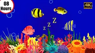 08 Hours Baby Sleep Lullabies ♪ Relaxing Music For Babies to Sleep 🌙 Boost Brain Development #fish