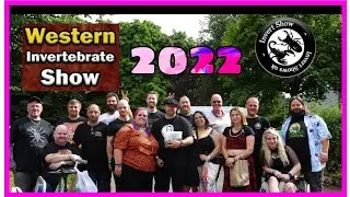 Western invert show 2022| Bristol invert show