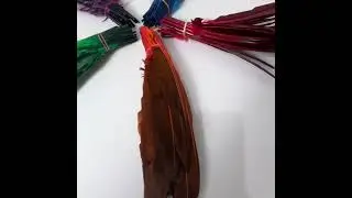 Beyond Costumes: Transforming Feathers into Wearable Art for Halloween & Masquerades!