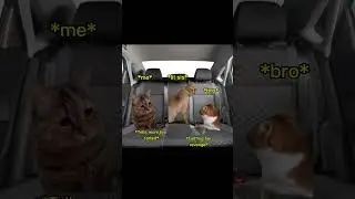 POV: Family Road trips