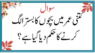 Top Islamic Questions Answers - UrduQuiz - Islamic Paheliyan - Islami SawalJawab - Islamic Quiz | Gk