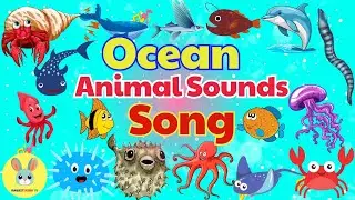Ocean Animals Sound Song | Learn Sea Animals Sound For Kids | Nursery Rhymes | Rabbit Kids TV