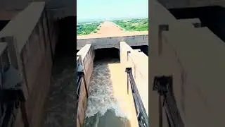 🌊||Narmada Underground Canal|| નર્મદા કેનાલ ||🌊#narmda #water #nature#Gujarat🥰