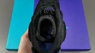 Air Jordan 6 