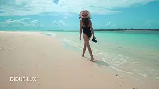 Hot Summer Beats 🔊 Pop Dance Music | Beach Girls & Ocean Mood