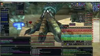 Everquest The Outer Brood Priest Burn 01-12-25