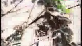 Soi day chuyen dinh menh  - Nhac Phim