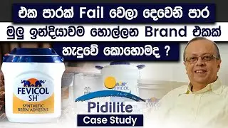 How To Convert Failure To Success | Pidilite Case Study | Simplebooks