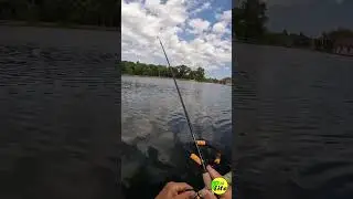 Long Cast micro jig bluegill this one is a real rod bender #longcastLCD #fishing