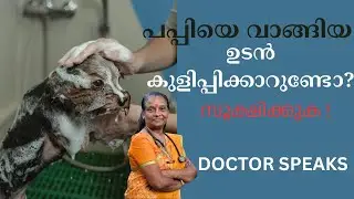 പപ്പിയെ വാങ്ങിയ ഉടൻ കുളിപ്പിക്കാറുണ്ടോ? സൂക്ഷിക്കുക!Puppy Bathing Mistakes You Must Avoid!Vet Speaks