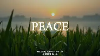 PEACE | Relaxing Acoustic Guitar 🌿 Calm Music for Stress Relief, Study & Work | MORNING CALM