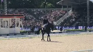 Daniel Bachmann Andersen Blue Hors Zack Freestyle at the EC 2019